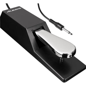 Alesis ASP-2 Universal Piano Style Sustain Pedal